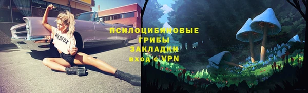 мет Арсеньев