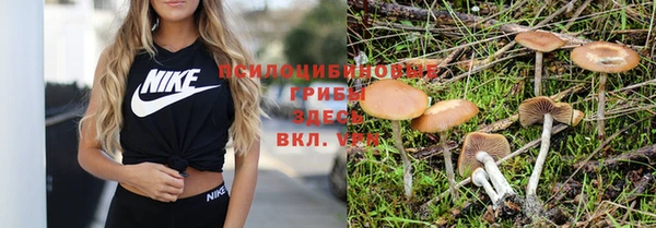 эйфоретик Ростов