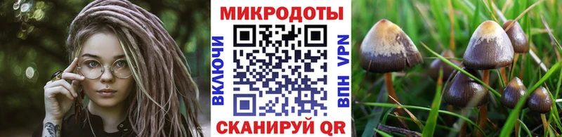 Псилоцибиновые грибы Psilocybe  наркотики  это формула  Усолье-Сибирское 